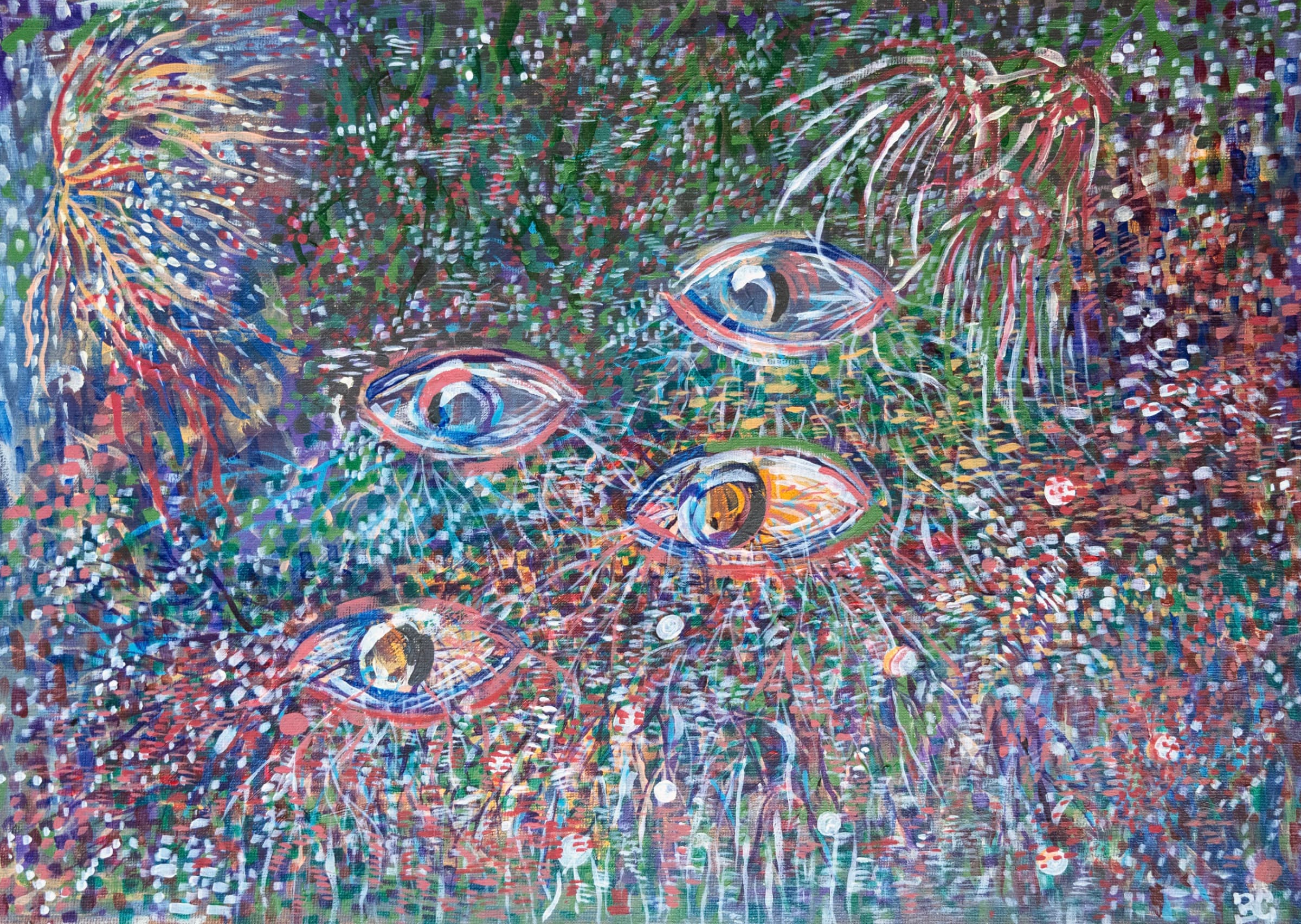 Eyes of Consciousness