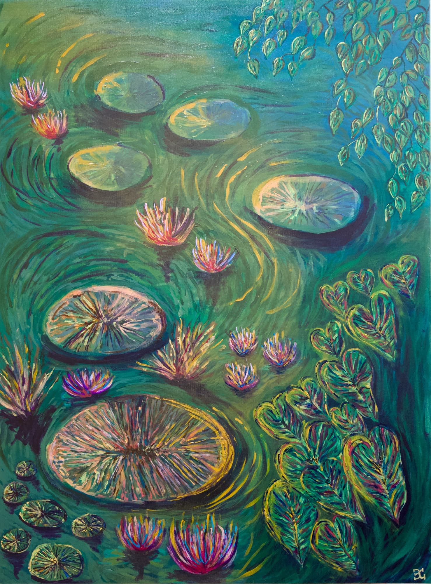 Dança dos Nenúfares